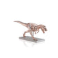 TREX pink gold